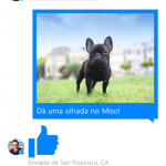 Facebook Messenger Windows Phone