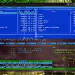 Windows_Terminal_4