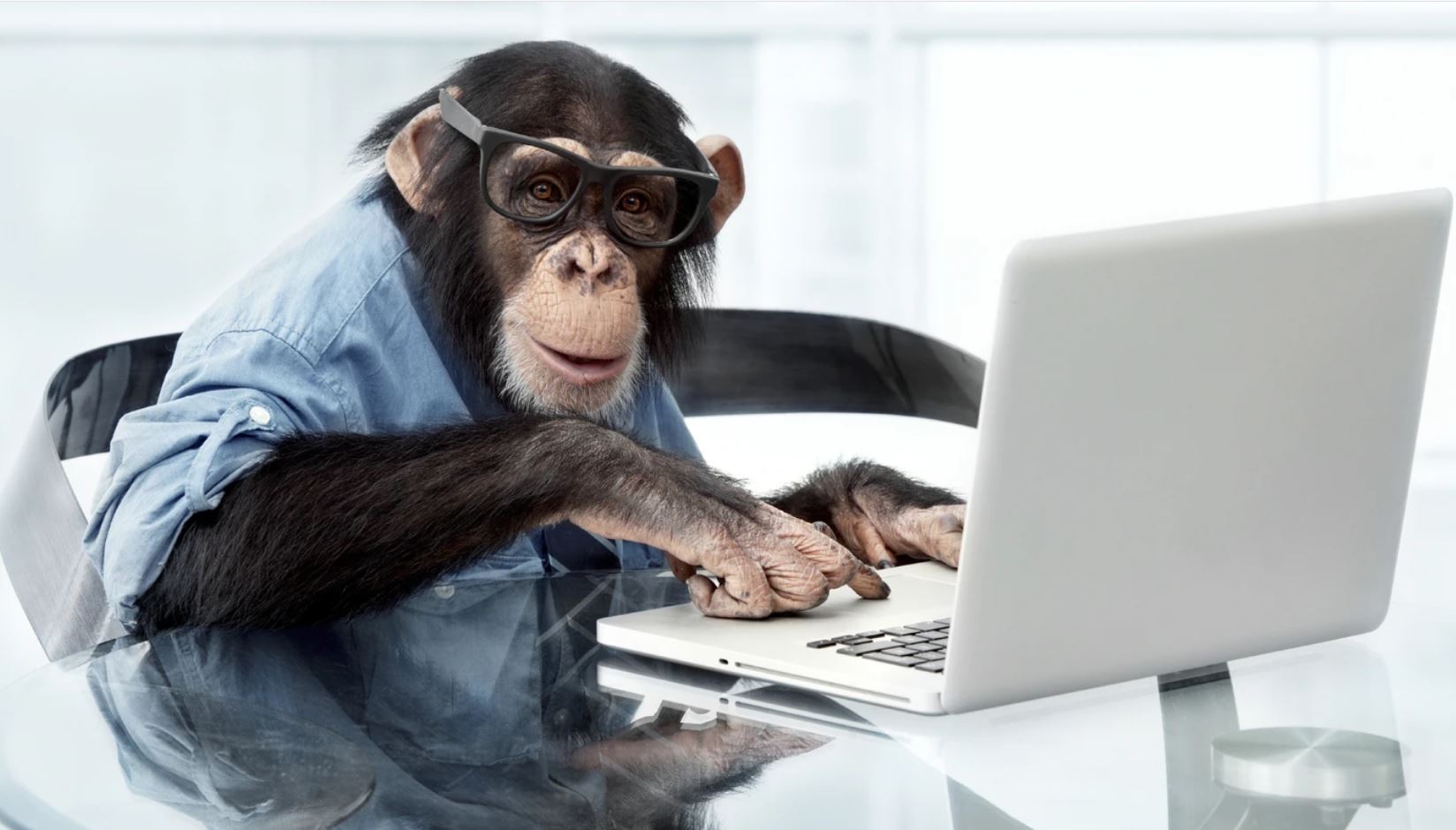 Neuralink instala chip em Macaco que aparece em vídeo a jogar pong